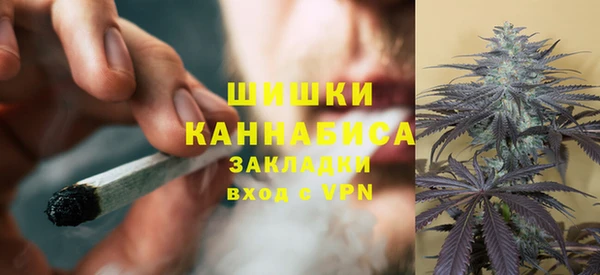 spice Горняк