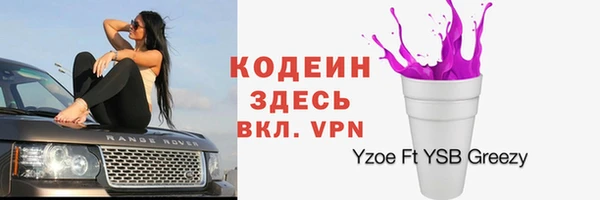 не бодяженный Горно-Алтайск
