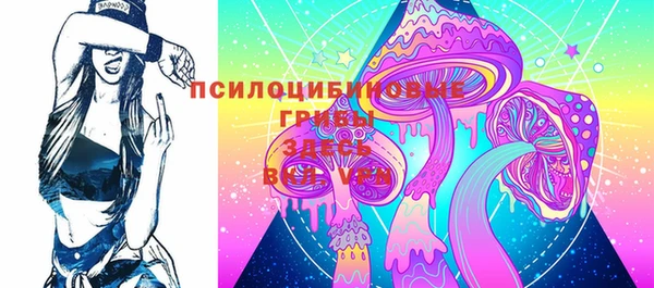 не бодяженный Горно-Алтайск