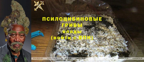 spice Горняк