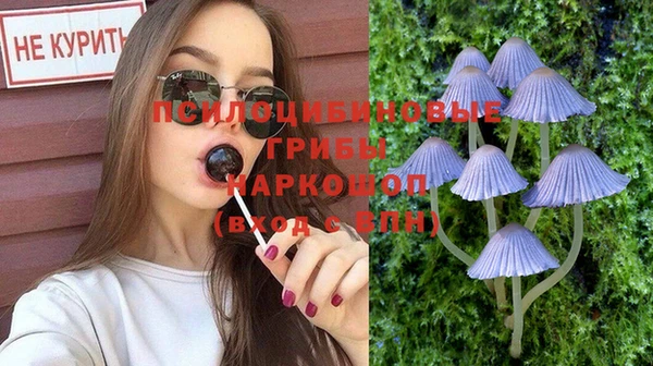 не бодяженный Горно-Алтайск
